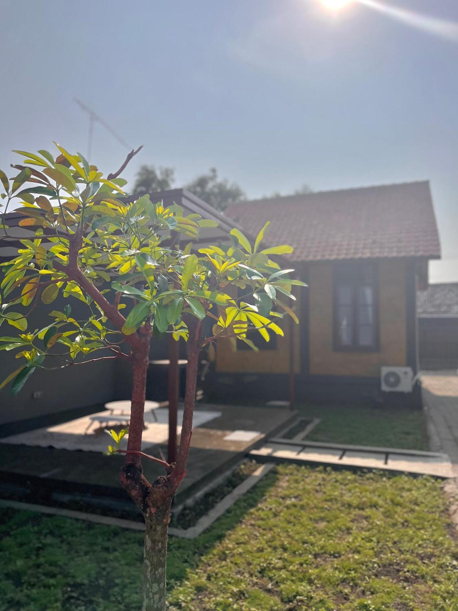 Joglo Homestay Banyuwangi バニュワンギ エクステリア 写真